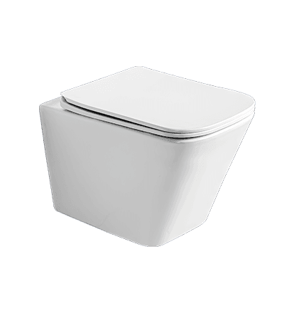 Marquise Wall Mounted Toilet Rimless